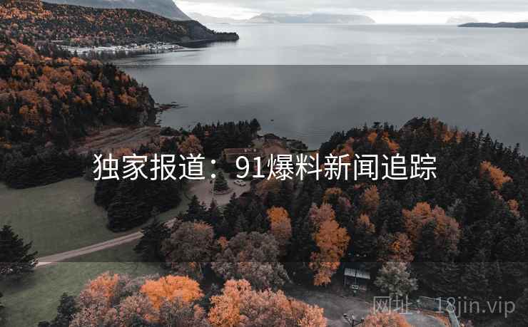 独家报道：91爆料新闻追踪