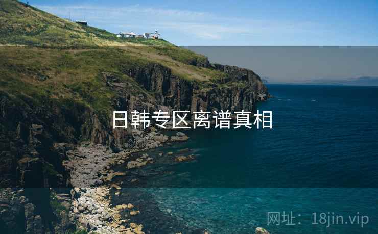日韩专区离谱真相  第2张
