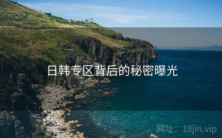 日韩专区背后的秘密曝光