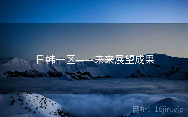 日韩一区——未来展望成果