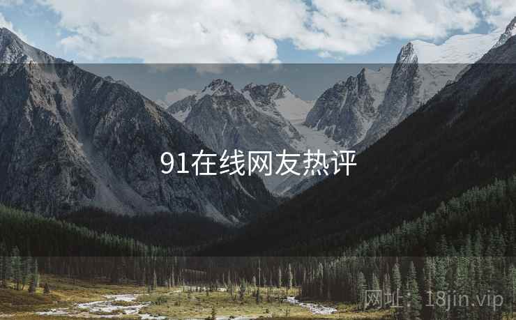 91在线网友热评