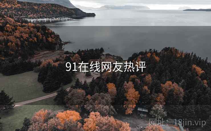 91在线网友热评