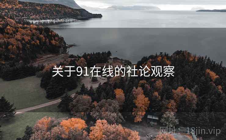 关于91在线的社论观察