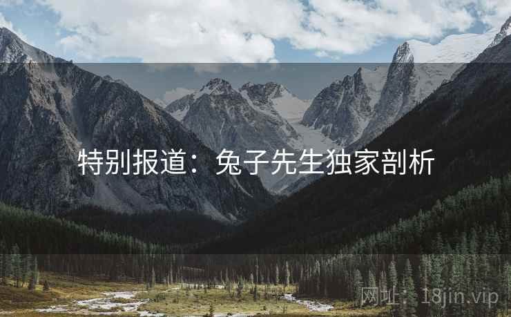 特别报道：兔子先生独家剖析