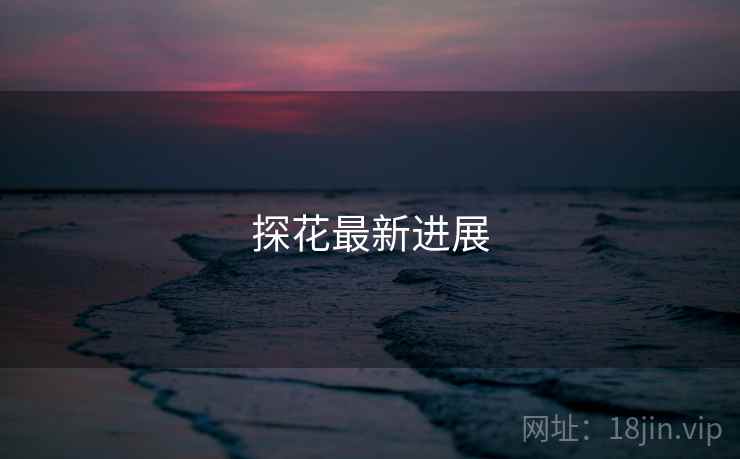 探花最新进展