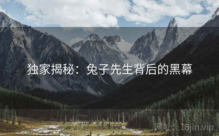 独家揭秘：兔子先生背后的黑幕  第2张