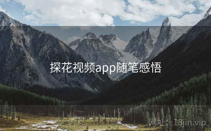 探花视频app随笔感悟