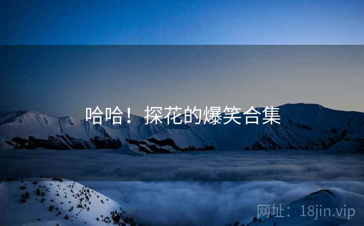 哈哈！探花的爆笑合集