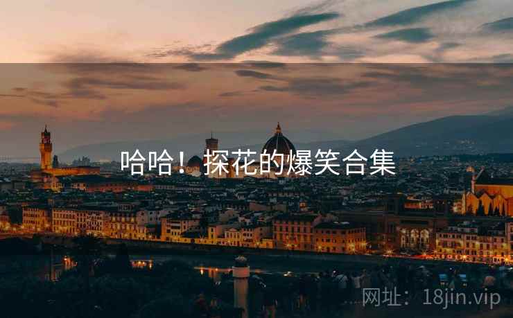 哈哈！探花的爆笑合集