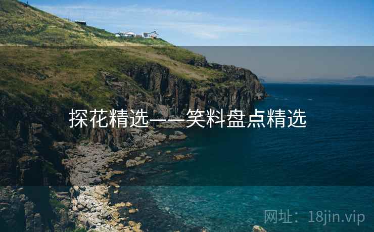 探花精选——笑料盘点精选