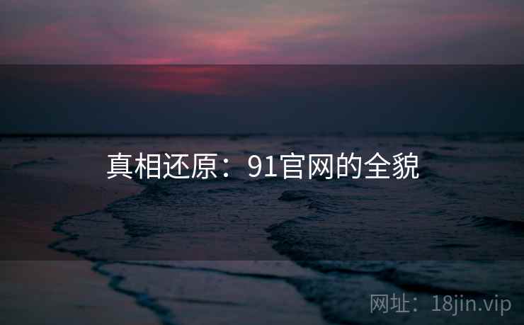 真相还原：91官网的全貌