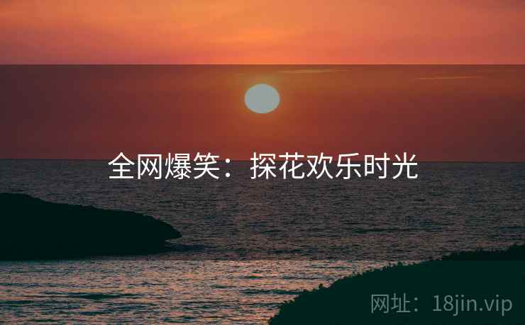 全网爆笑：探花欢乐时光