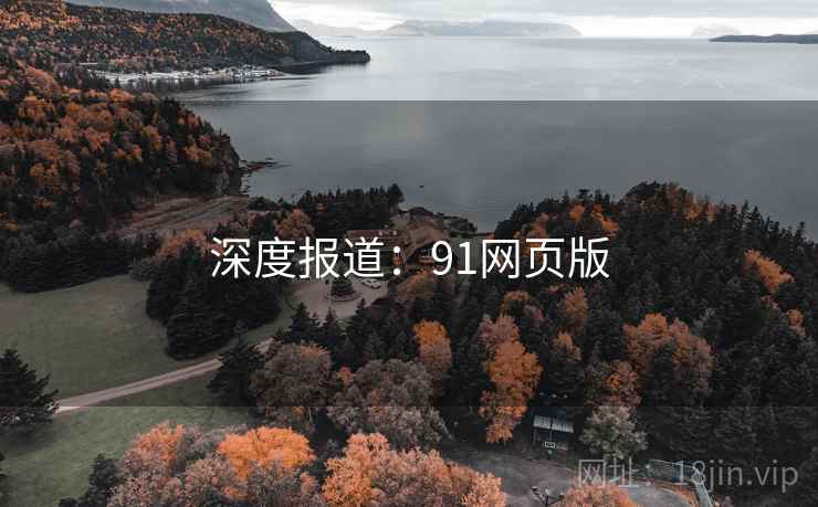 深度报道：91网页版