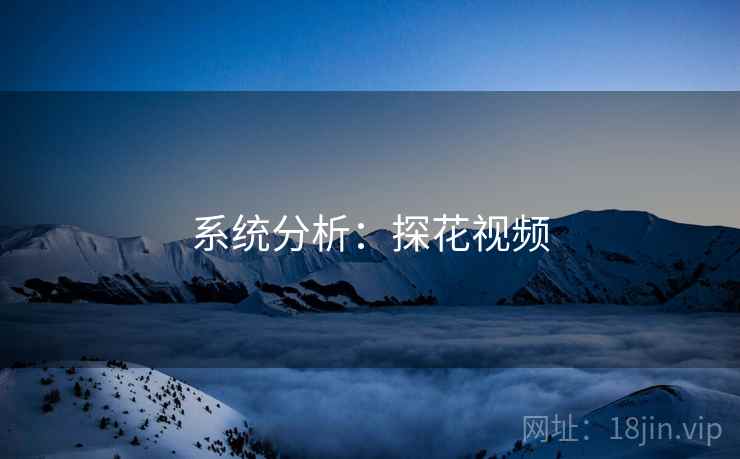 系统分析：探花视频