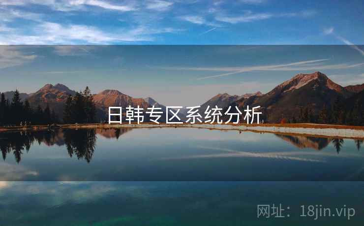 日韩专区系统分析