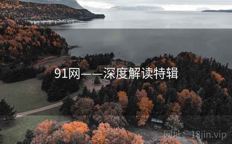 91网——深度解读特辑