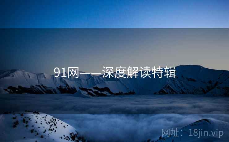 91网——深度解读特辑