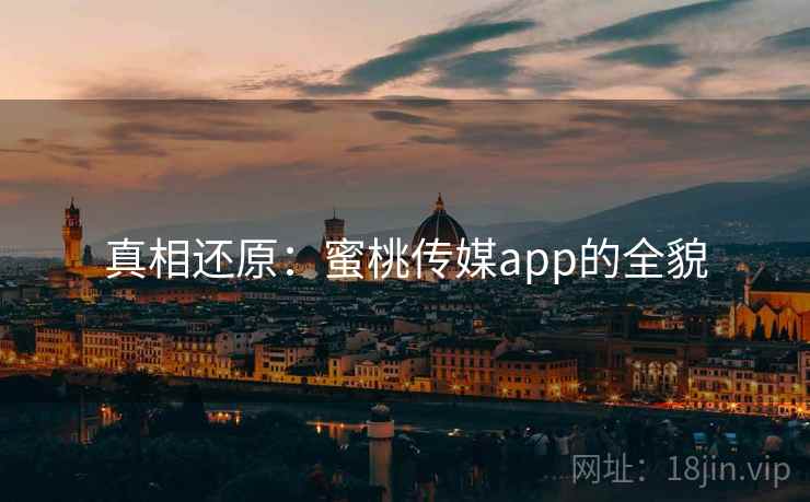 真相还原：蜜桃传媒app的全貌