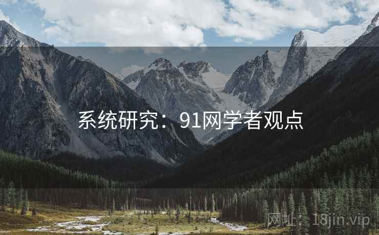 系统研究：91网学者观点