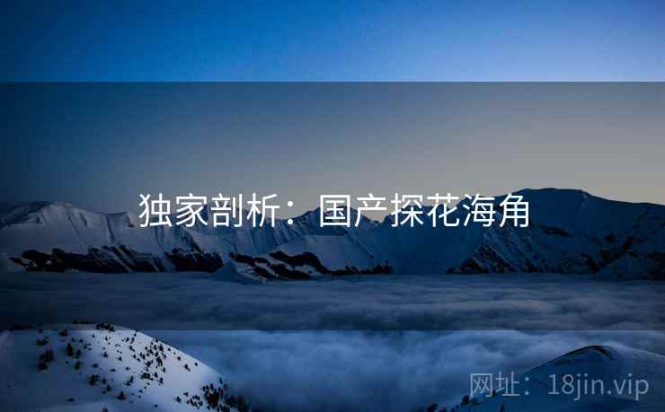 独家剖析：国产探花海角