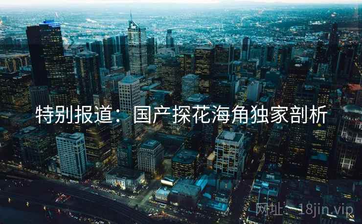 特别报道：国产探花海角独家剖析