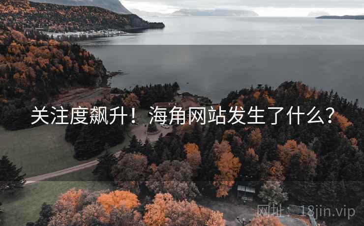 关注度飙升！海角网站发生了什么？
